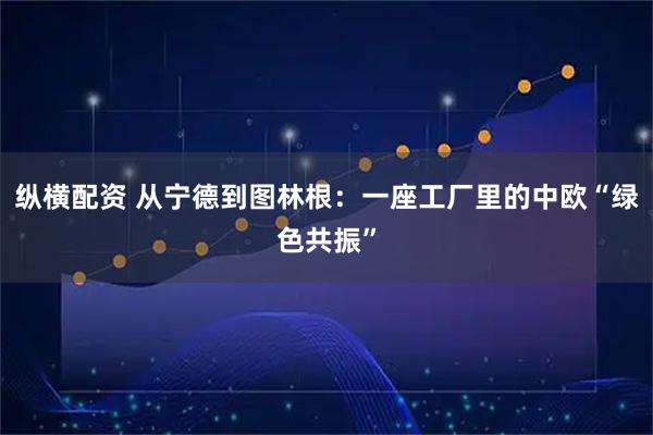 纵横配资 从宁德到图林根：一座工厂里的中欧“绿色共振”