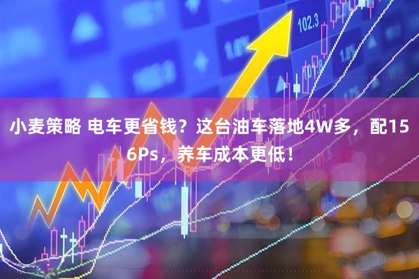 小麦策略 电车更省钱？这台油车落地4W多，配156Ps，养车成本更低！