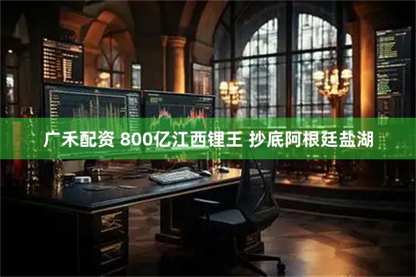 广禾配资 800亿江西锂王 抄底阿根廷盐湖