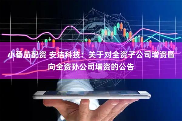 小番茄配资 安洁科技：关于对全资子公司增资暨向全资孙公司增资的公告