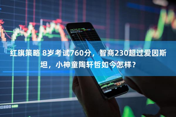 红旗策略 8岁考试760分，智商230超过爱因斯坦，小神童陶轩哲如今怎样？