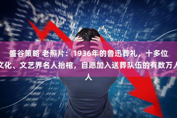 盛谷策略 老照片：1936年的鲁迅葬礼，十多位文化、文艺界名人抬棺，自愿加入送葬队伍的有数万人